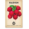 Radish 'Cherry Belle' Heirloom Seeds