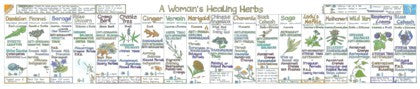 Womens Healing Herbs Wall Chart