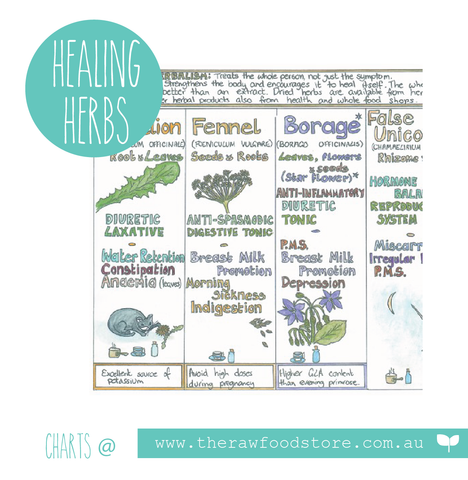 Womens Healing Herbs Wall Chart