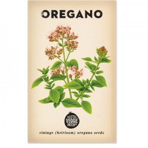 Oregano 'Common' Heirloom Seeds