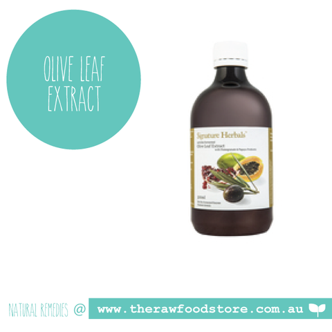 Olive Leaf Probiotic Extract 500ml
