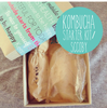 Kombucha Starter Kits