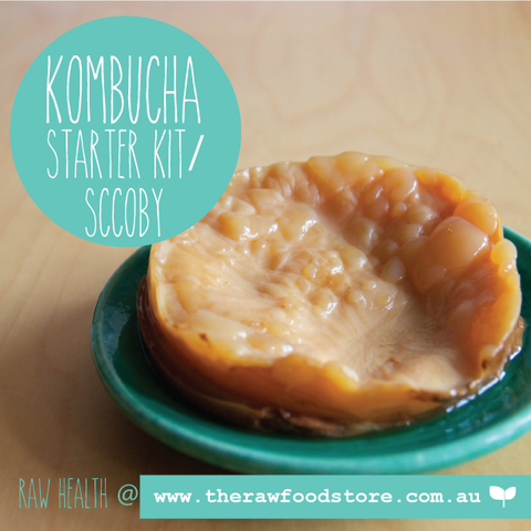 Kombucha Starter Kits
