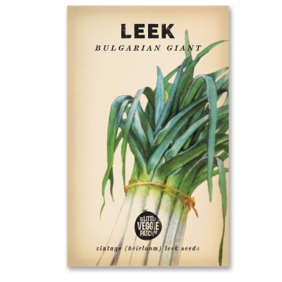 Leek 'Bulgarian Giant' Heirloom Seeds