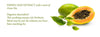 Papaya Leaf Probiotic with Green Tea 500 ml