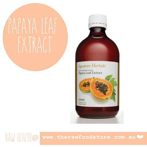 Papaya Leaf Probiotic with Green Tea 500 ml