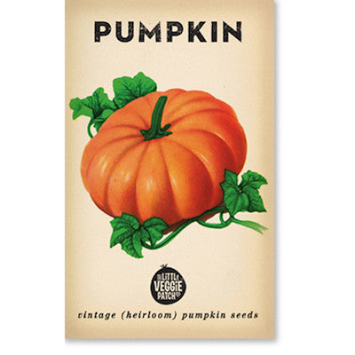 Pumpkin 'Small Sugar' Heirloom Seeds