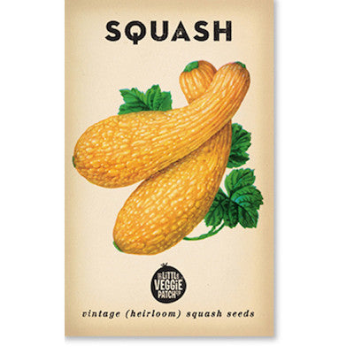 Squash 'Golden Summer Crookneck' Heirloom Seeds