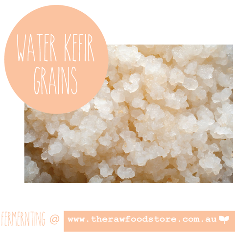 Water Kefir Grains