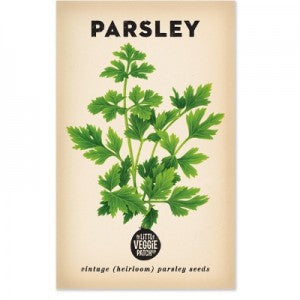 Parsley 'Italian' Heirloom Seeds