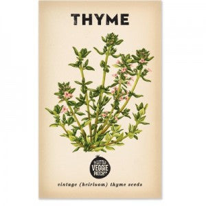 Thyme 'Summer' Heirloom Seeds